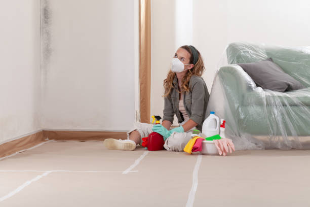 Reliable Mold Remediation contractor in Akron, PA by WQB Mold Removal
