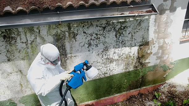 Top rated local Mold Remediation specialists in Akron, PA